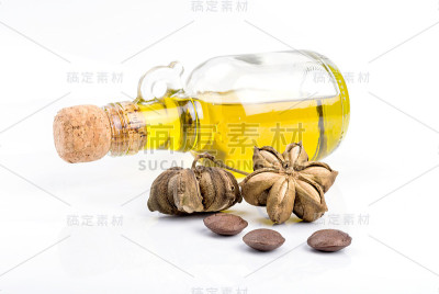 印加花生种子的图像
