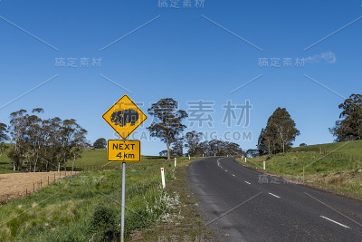 澳大利亚新南威尔士州乡村公路上的袋熊警告标志