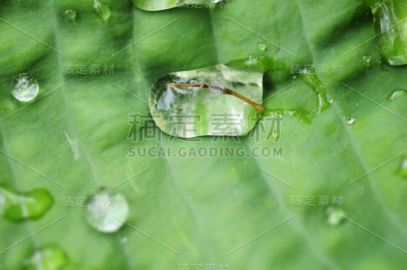 雨滴