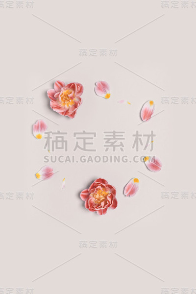 一圈花和郁金香的花瓣。简约的spring框架