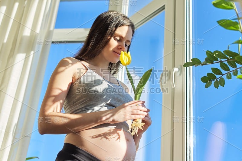 美丽的年轻孕妇与黄色郁金香花的肖像