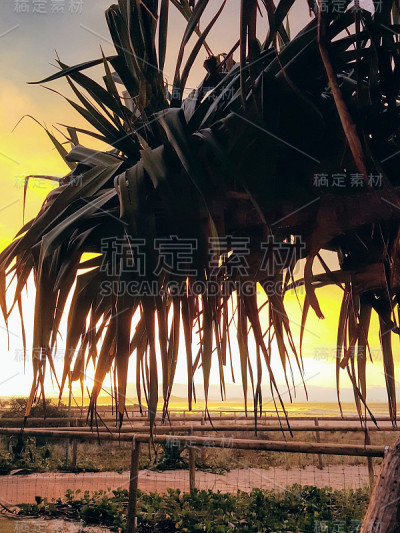 澳大利亚Coolangatta海滩