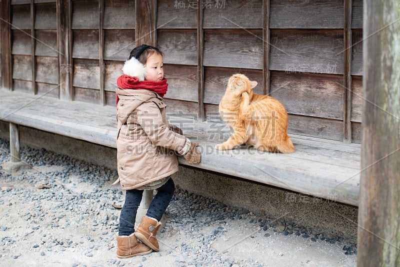 蹒跚学步的小女孩在玩猫