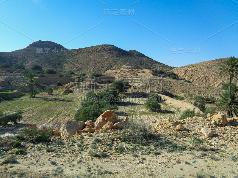 北非的风景。在突尼斯的沙漠