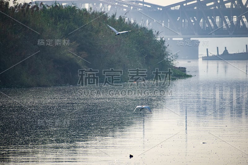 清晨时分，德里亚穆纳河全貌尽收眼底