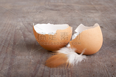鸡蛋壳