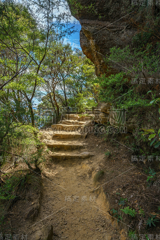 在澳大利亚的蓝山国家公园徒步旅行