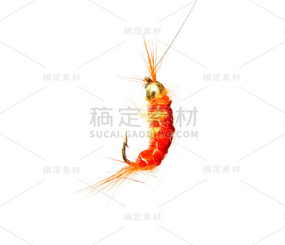 在白色的背景上钓鱼