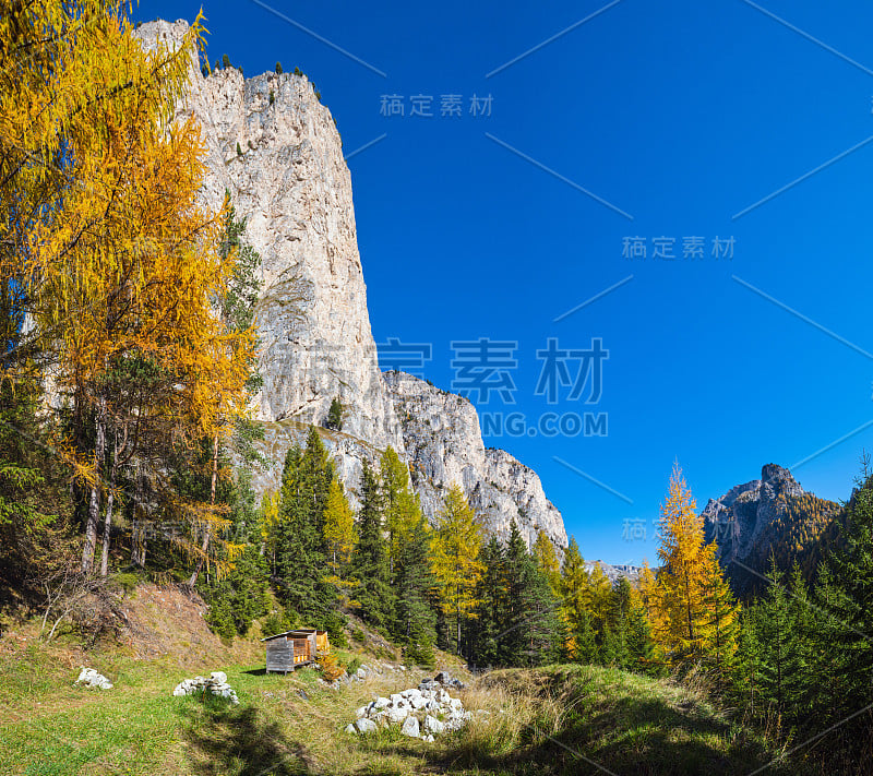 秋天高山白云石岩山景色，苏迪罗尔，意大利。在Groden, Selva di Val Gardena