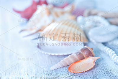 贝壳