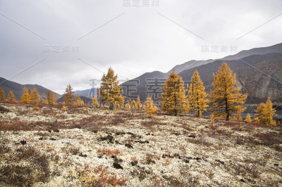 秋天在山上。
