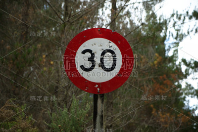 红、白、黑三色的限速标志，每小时30公里。
