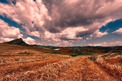 麦田