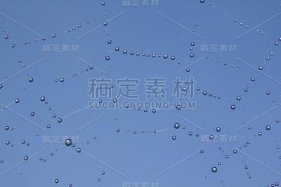 蜘蛛网上的露珠