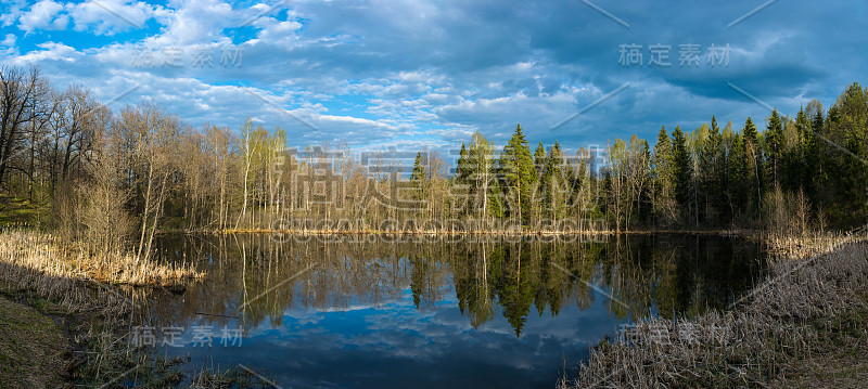 在傍晚阳光下的森林湖全景。