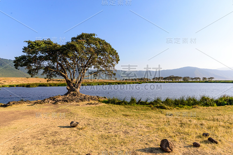 恩戈罗戈罗火山口的马加迪湖