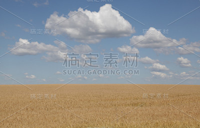 景观