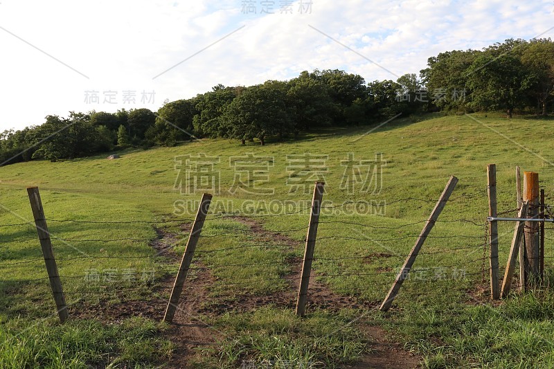 草原领域栅栏