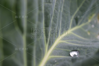 水滴