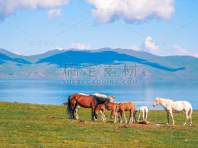 吉尔吉斯斯坦的Son Kul湖