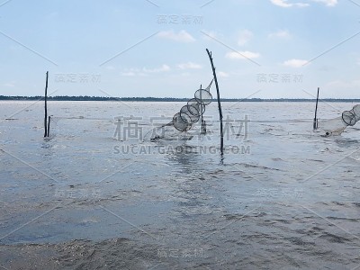 湖多哥