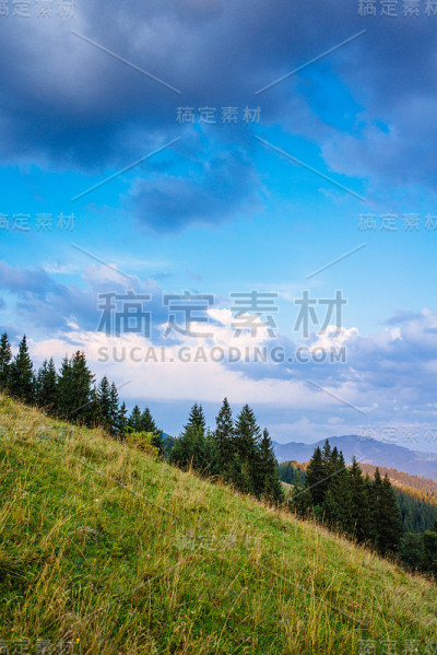 丰富多彩的夏天的风景