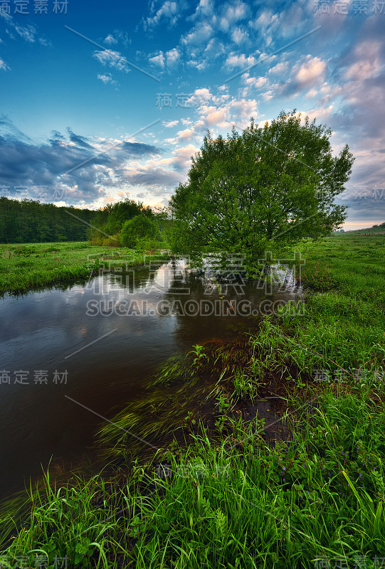 黎明时分，山谷中一条风景如画的河流。安静的早晨。春天的风景