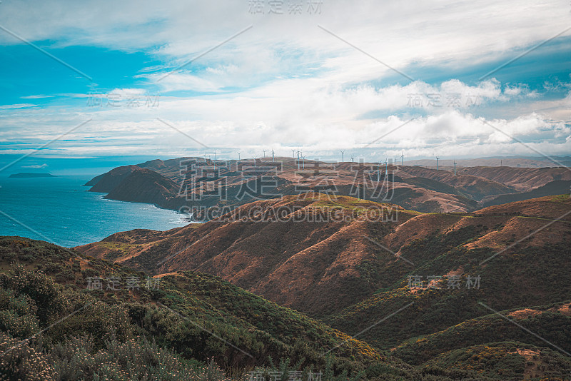 惠灵顿乡村的自然景观-马卡拉