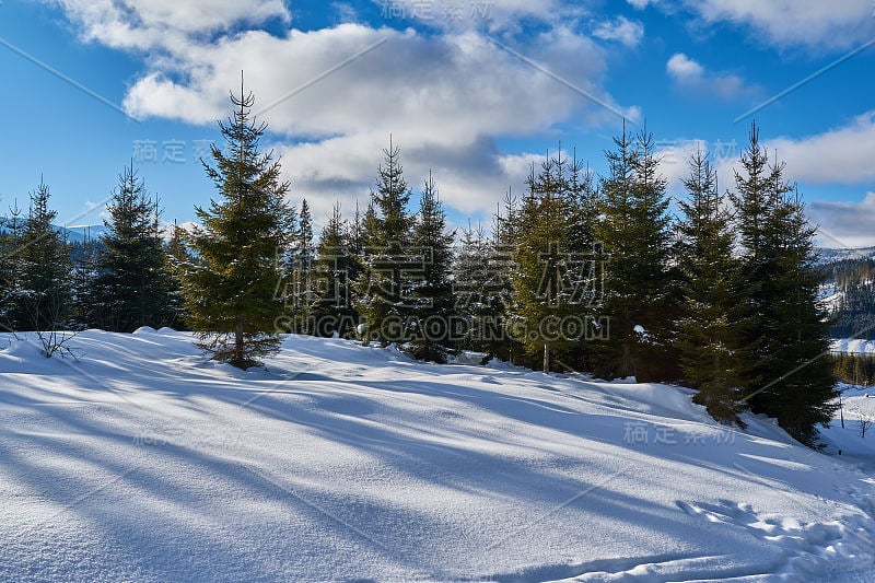 冬季景观从山上有冷杉林，雪和蓝天与白云