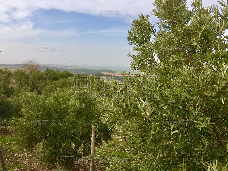 Göbeklitepe Örencik村联合国教科文组织世界遗产方尖碑动物图案Şanlıurfa的第