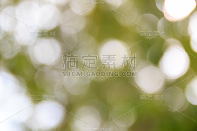 散景灯