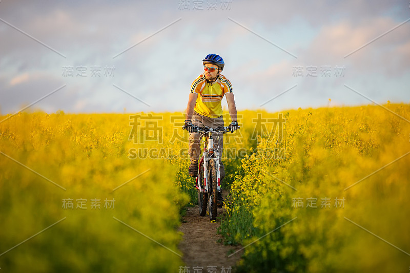 骑山地自行车的人正在黄澄澄的油菜地里骑车