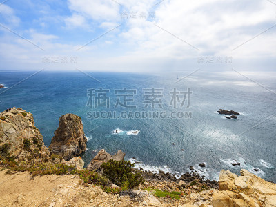 葡萄牙万寿菊2000