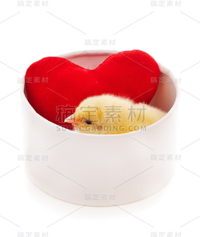 盒子里有只鸡，还有个玩具心脏。