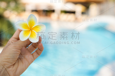 鸡蛋花花