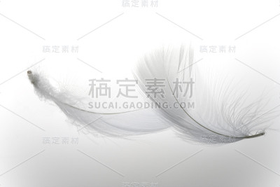羽毛
