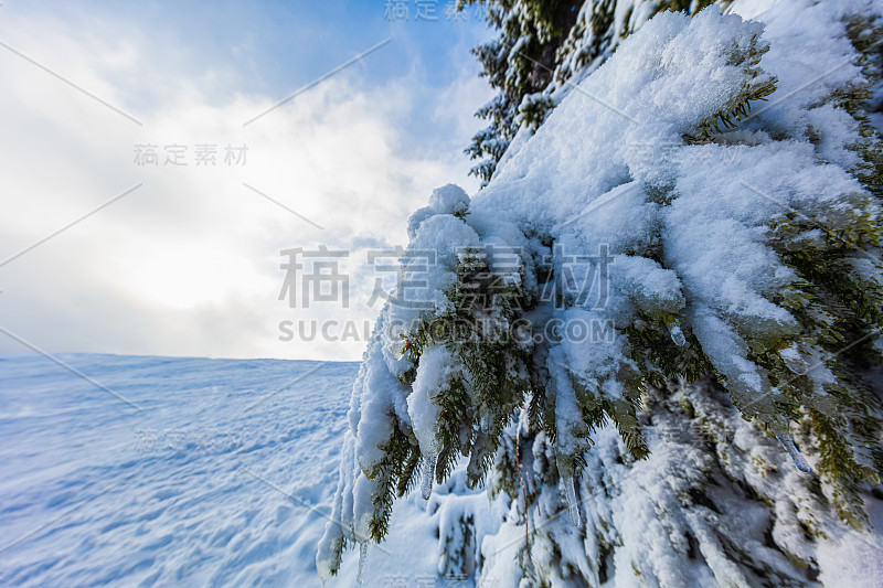 德国萨克森州奥伯维森塔尔的雪景