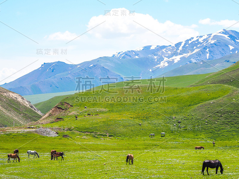 天山山脉，吉尔吉斯斯坦