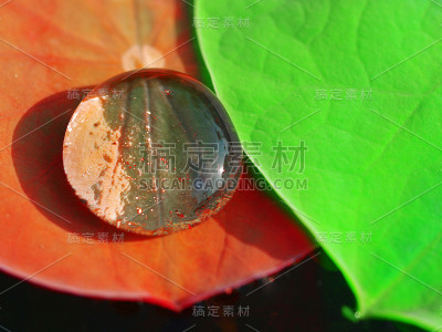 水滴