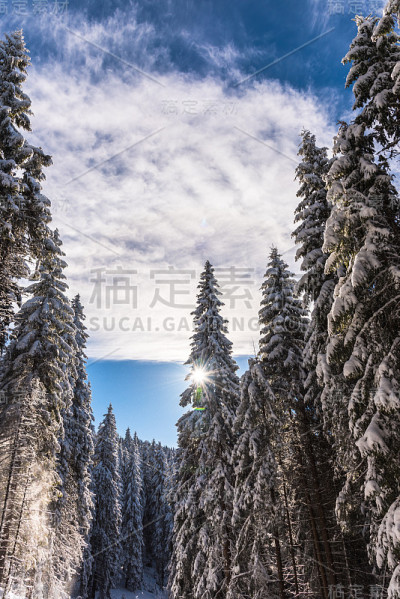 冬天的风景