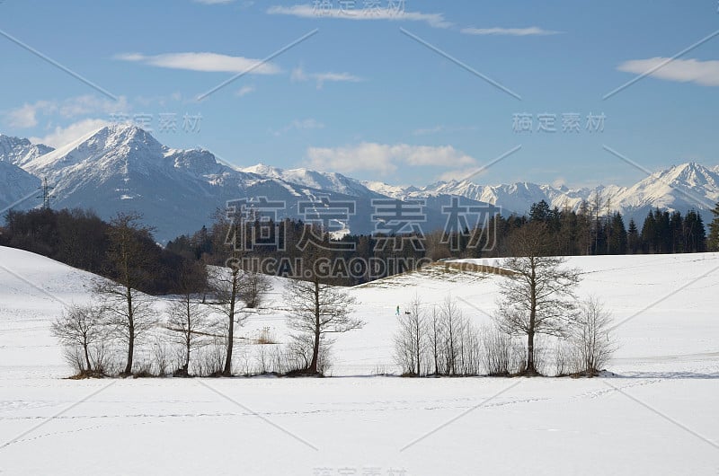 奥地利的雪地覆盖着树木和山脉