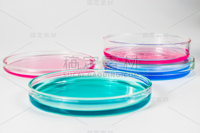 培养皿中的彩色液体。实验室，科学和临床背景