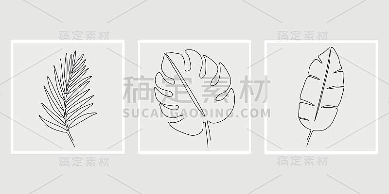 一幅热带棕榈叶的线条画。现代单线艺术。抽象植物艺术设计版画，封面，墙纸，最小和自然的墙壁艺术。