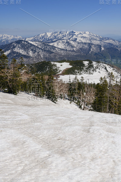在春天的相竹山和熊泽watashiro