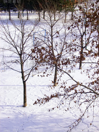 前院的第一场雪