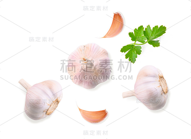 大蒜在白色背景，俯视图