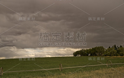 暴风雨前