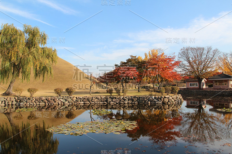 庆州大陵园皇家陵墓的秋景