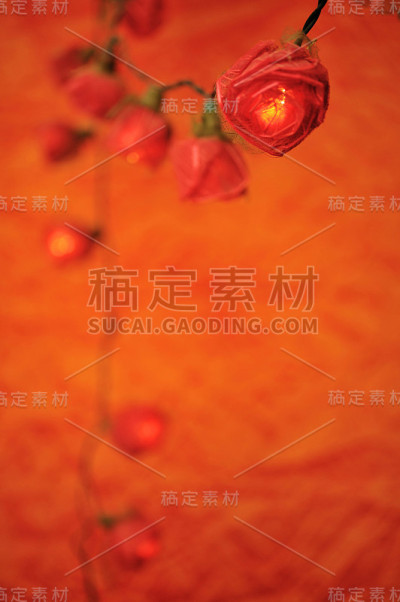 圣诞灯