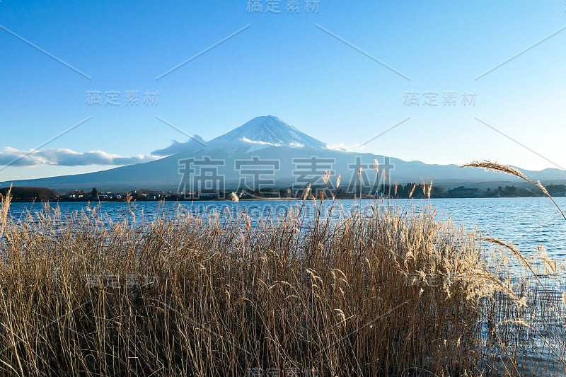 日本——从川口湖眺望富士山的田园诗般的景色